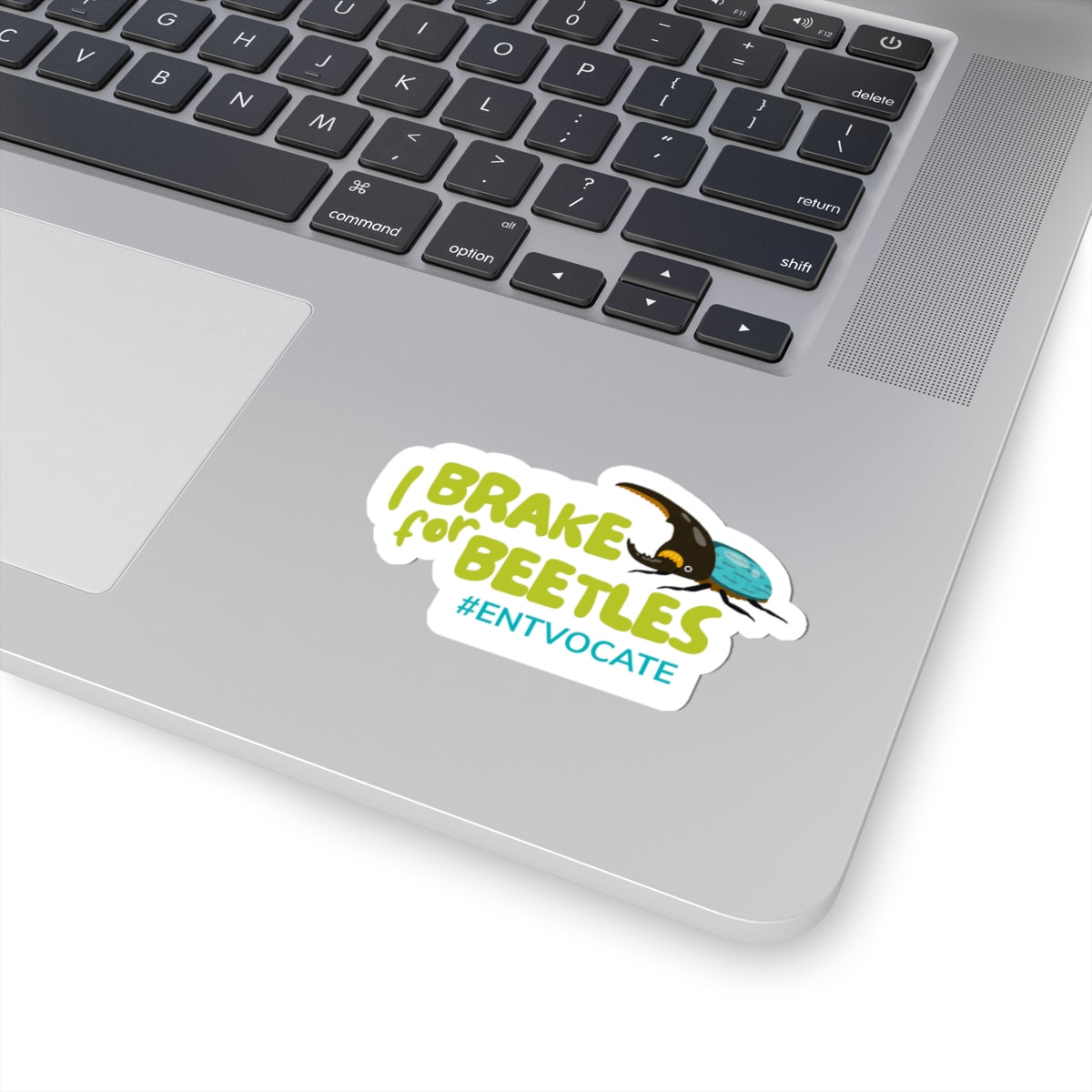 Brake for Beetles Sticker