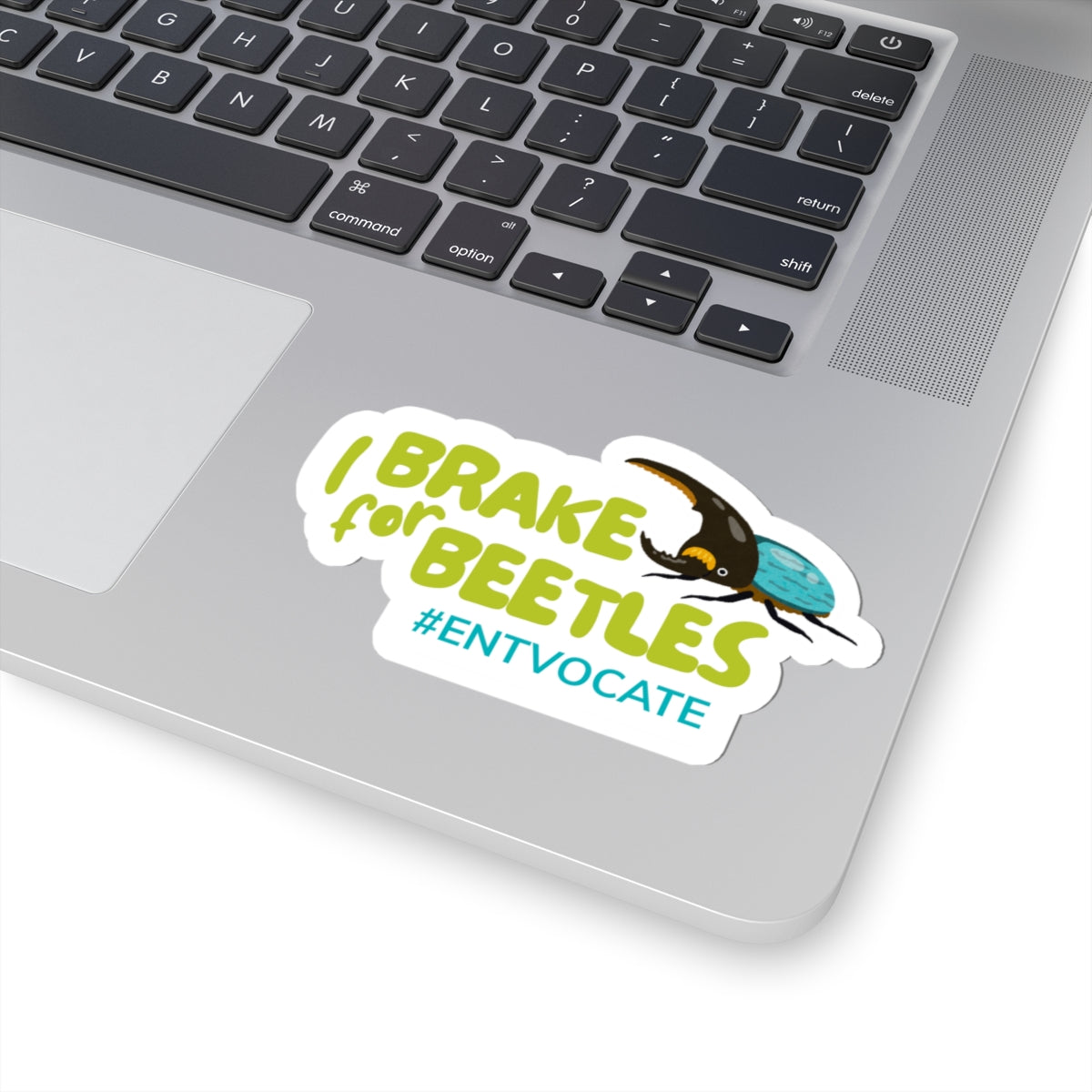 Brake for Beetles Sticker